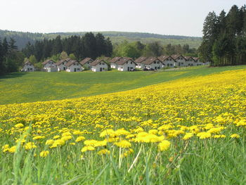 Christelijke vakantie Bergland Hessen